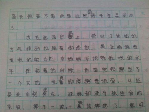 探索与发现，一篇600字优秀作文的奇妙世界